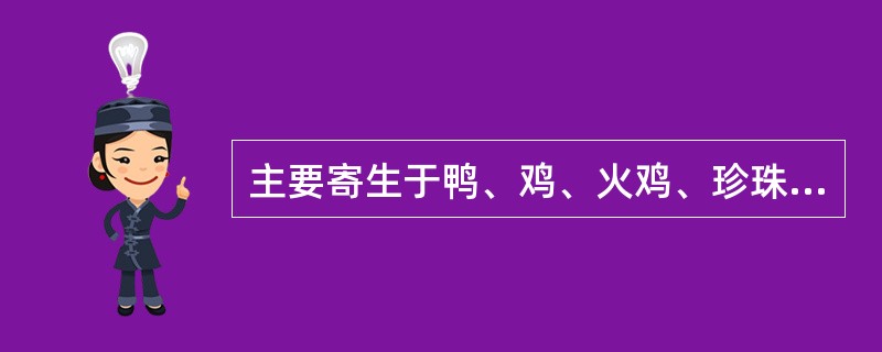 主要寄生于鸭、鸡、火鸡、珍珠鸡、鸽、鹌鹑等的腺胃黏膜中的是（）