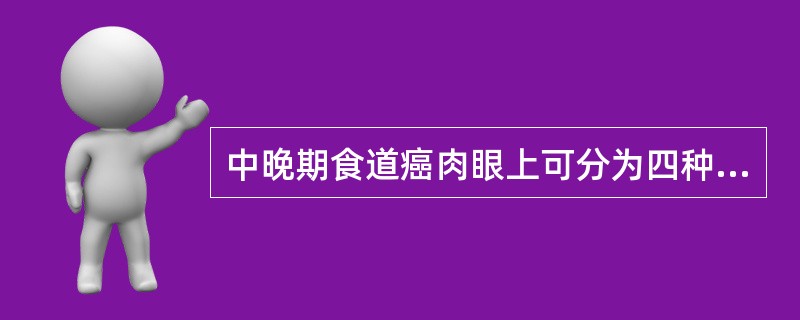 中晚期食道癌肉眼上可分为四种类型，即___、___、___和___。