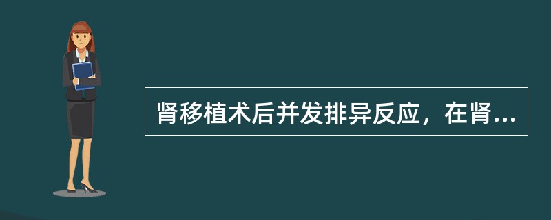 肾移植术后并发排异反应，在肾动态显像无下列哪个表现（）