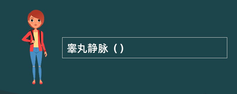 睾丸静脉（）