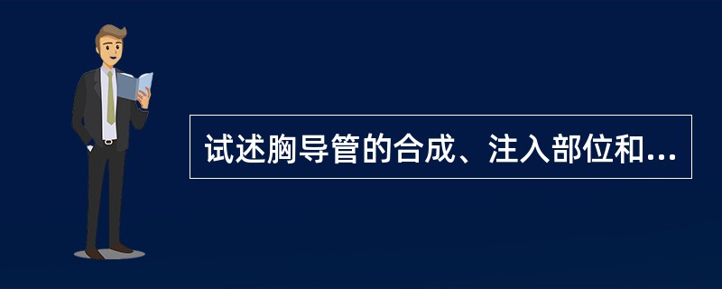 试述胸导管的合成、注入部位和收集淋巴的范围。