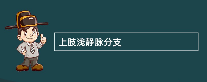 上肢浅静脉分支