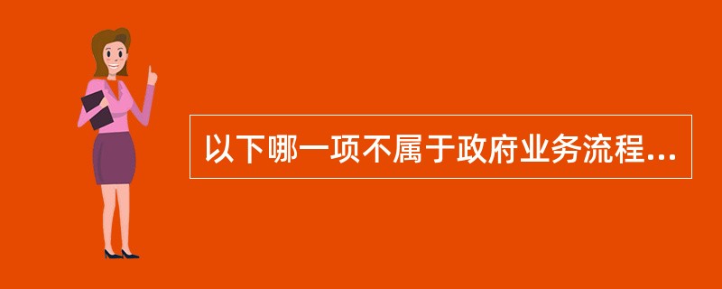 以下哪一项不属于政府业务流程（）