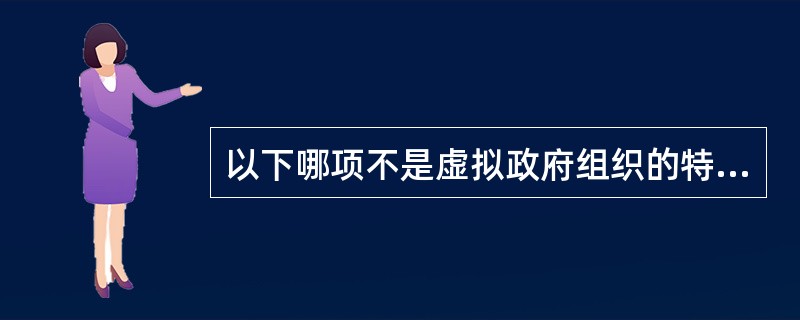 以下哪项不是虚拟政府组织的特征（）