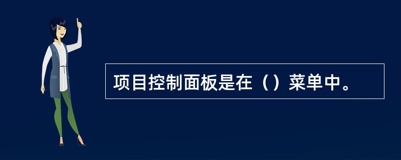 项目控制面板是在（）菜单中。