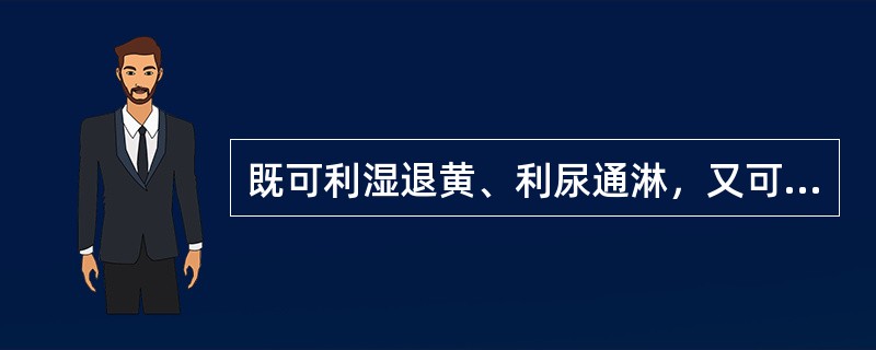 既可利湿退黄、利尿通淋，又可解毒消肿的中药是（）