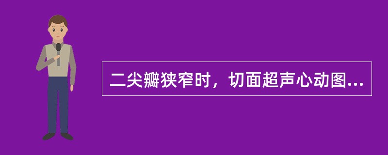 二尖瓣狭窄时，切面超声心动图可见（）