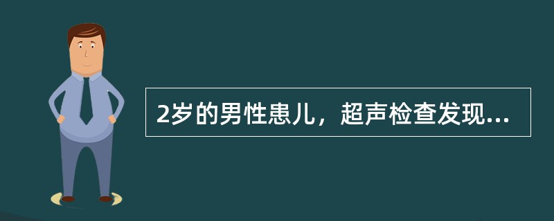 2岁的男性患儿，超声检查发现肝脏巨大实性肿块，直径约10cm，彩色多普勒显示肿块