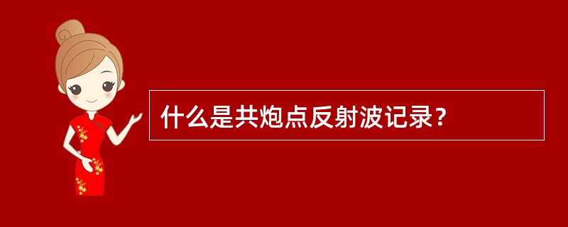 什么是共炮点反射波记录？