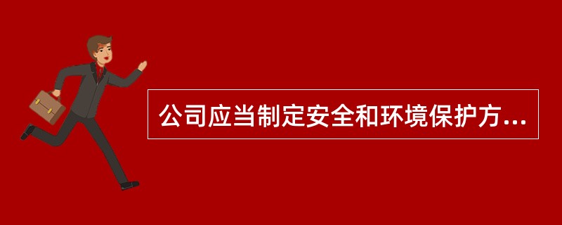 公司应当制定安全和环境保护方针，并应当保证（）执行和保持此方针。