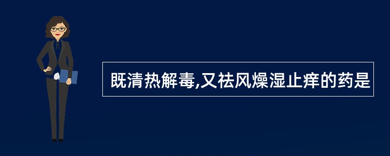 既清热解毒,又祛风燥湿止痒的药是