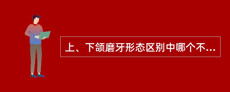 上、下颌磨牙形态区别中哪个不正确