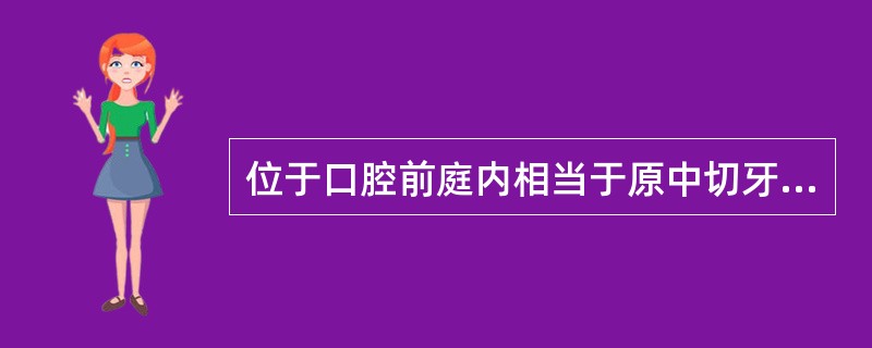 位于口腔前庭内相当于原中切牙近中交界线的延长线上的是