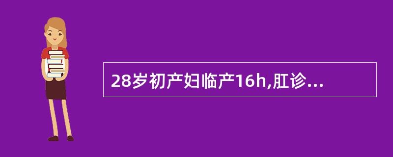 28岁初产妇临产16h,肛诊宫口开全2h,先露头达棘下£«2cm,骨产道正常,枕