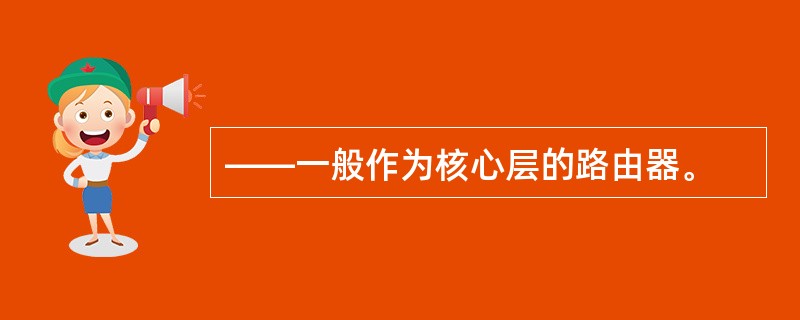 ——一般作为核心层的路由器。