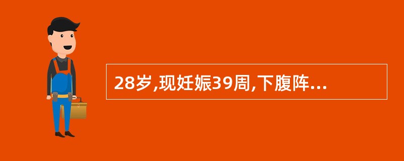 28岁,现妊娠39周,下腹阵发性坠痛,烦躁不安。3年前曾有剖宫产史,宫缩40~5