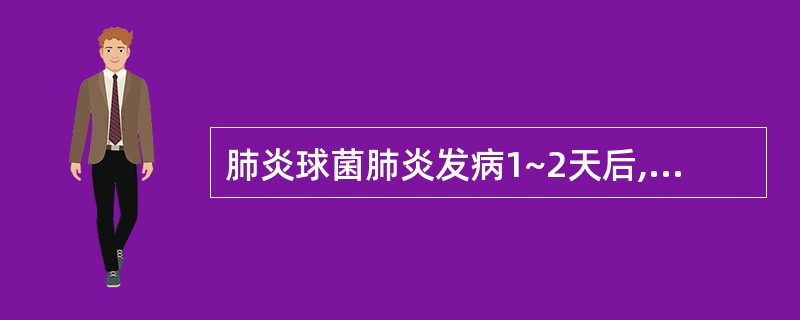 肺炎球菌肺炎发病1~2天后,其痰液特点