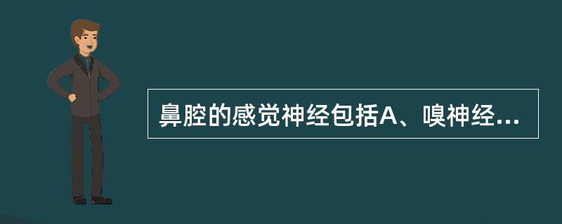 鼻腔的感觉神经包括A、嗅神经、眼神经、岩浅大神经B、眼神经、上颌神经C、嗅神经、