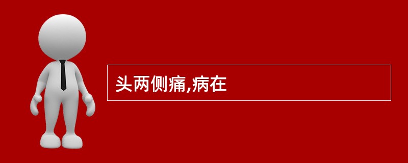 头两侧痛,病在