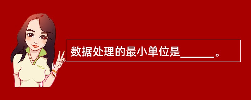 数据处理的最小单位是______。