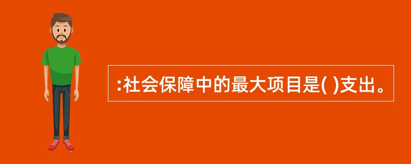 :社会保障中的最大项目是( )支出。