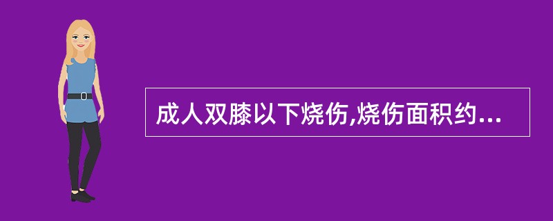 成人双膝以下烧伤,烧伤面积约占体表面积的( )。