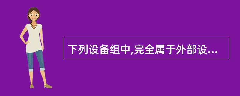 下列设备组中,完全属于外部设备的一组是______。