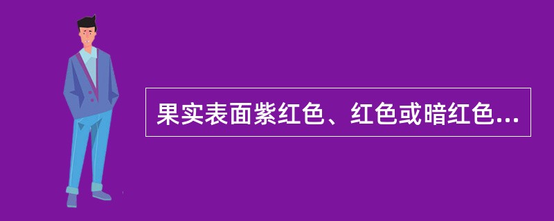 果实表面紫红色、红色或暗红色,有时出现白霜的药材是