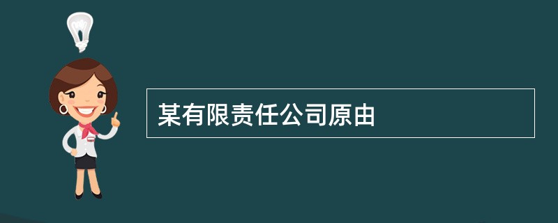 某有限责任公司原由