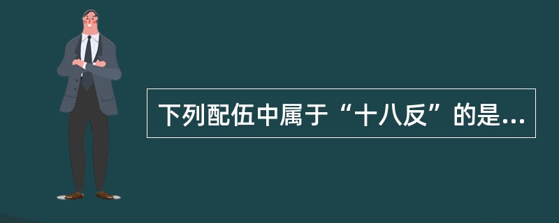 下列配伍中属于“十八反”的是( )。