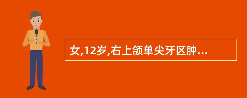 女,12岁,右上颌单尖牙区肿胀半年, X线见边界清楚的透射区并有下透光的钙化小粒