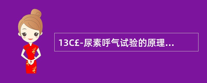 13C£­尿素呼气试验的原理是幽门螺杆菌具有以下特性