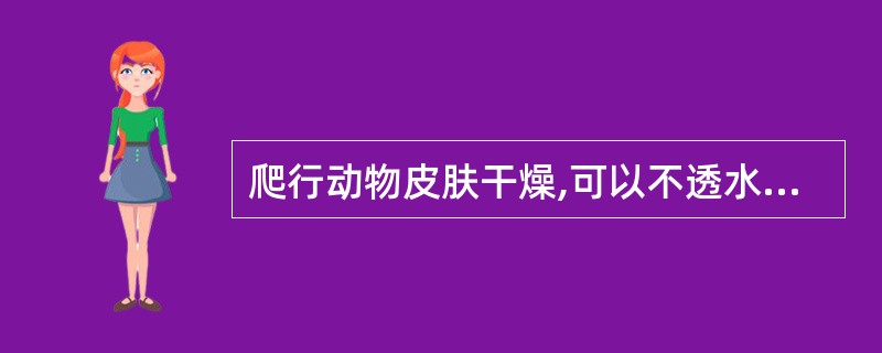 爬行动物皮肤干燥,可以不透水,以排泄尿酸来代替排泄尿素和氨,这是该类动物对___