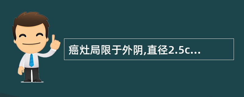 癌灶局限于外阴,直径2.5cm,双侧腹股沟淋巴结阳性