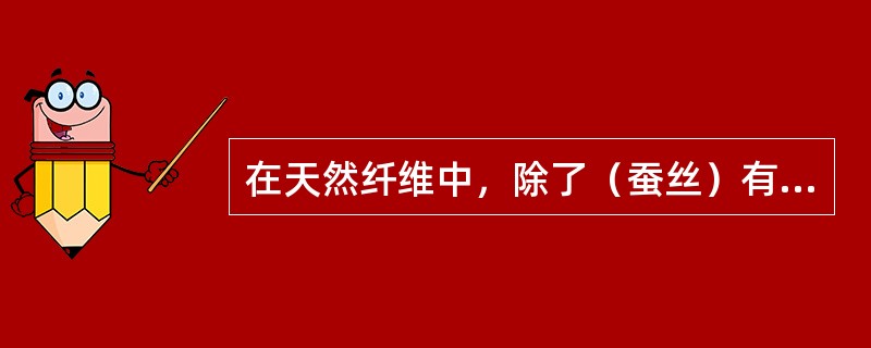 在天然纤维中，除了（蚕丝）有（长丝）和短纤维两种纱线形式以外，其它均为（）。 -