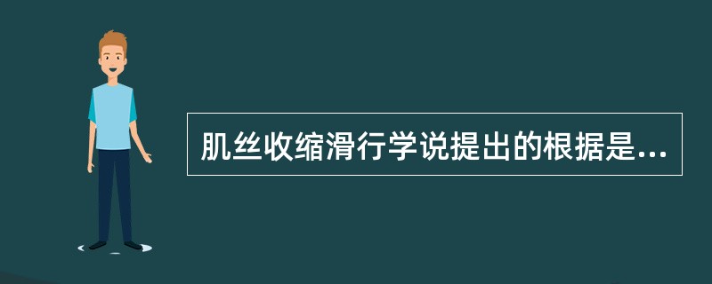肌丝收缩滑行学说提出的根据是,肌肉收缩时 ( )