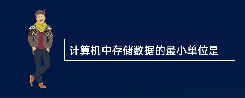 计算机中存储数据的最小单位是