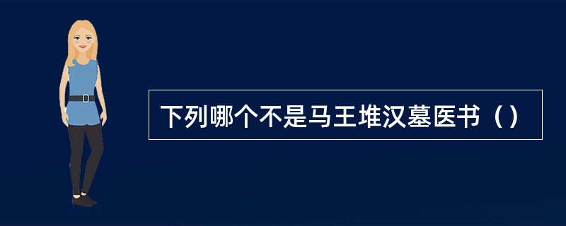 下列哪个不是马王堆汉墓医书（）