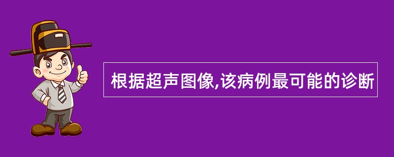 根据超声图像,该病例最可能的诊断