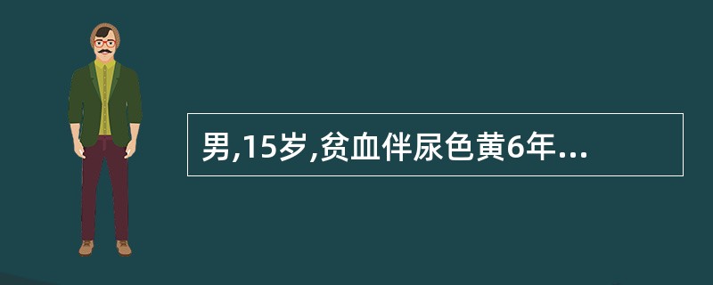 男,15岁,贫血伴尿色黄6年,未诊治。其弟弟有类似表现。查体;巩膜轻度黄染,脾肋