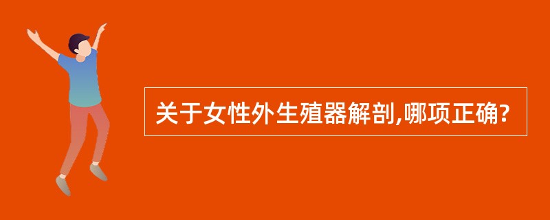 关于女性外生殖器解剖,哪项正确?