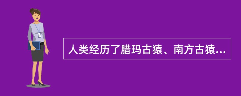 人类经历了腊玛古猿、南方古猿、早期智人、晚期智人、直立人等阶段.