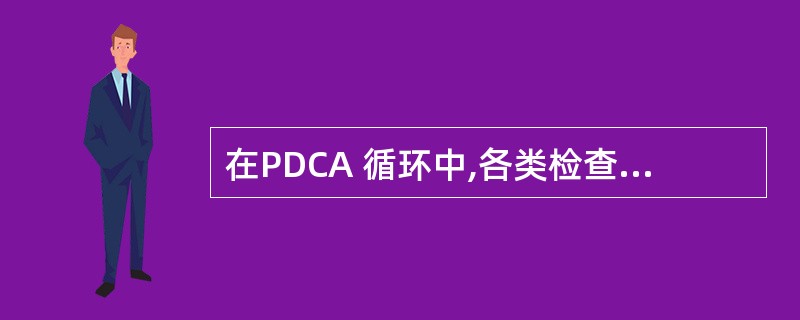 在PDCA 循环中,各类检查的内容包括( )。