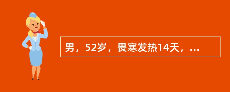 男，52岁，畏寒发热14天，查：体温39.5℃，血压75／50mmHg，右上肢可见瘀斑，双肺呼吸音粗，呼吸30次／min，肝肋下未扪及，脾肋下恰扪及；Hb112g／L，WBC18×10<img