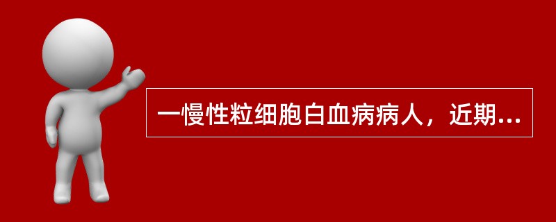 一慢性粒细胞白血病病人，近期出现高热、贫血，骨髓原始细胞0.12，用原来治疗有效的“白消安”治疗无效，该患者应首先考虑