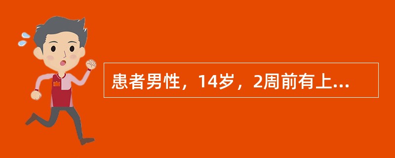 患者男性，14岁，2周前有上呼吸道感染史。近日皮肤出血。查体：全身皮肤紫癜以四肢为重，浅表淋巴结、肝脾不大。外周血象正常，骨髓无异常对此患者应首选的治疗是