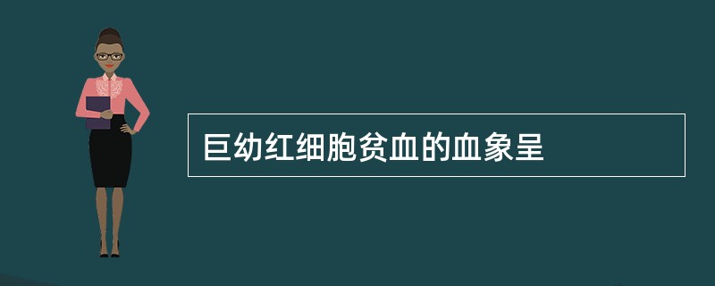 巨幼红细胞贫血的血象呈