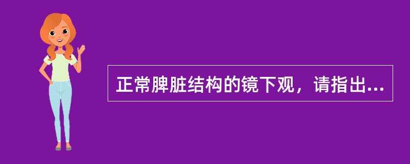 正常脾脏结构的镜下观，请指出图中所示结构名称<br /><p><img src="https://img.zhaotiba.com/fujian/2022072