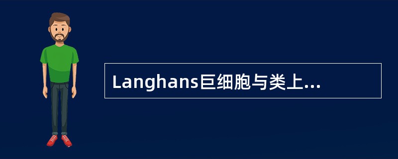 Langhans巨细胞与类上皮细胞的共同特点不包括以下哪项()