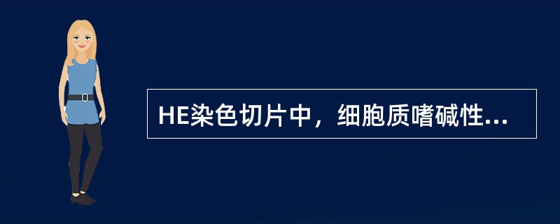 HE染色切片中，细胞质嗜碱性强的可能原因是有丰富的()